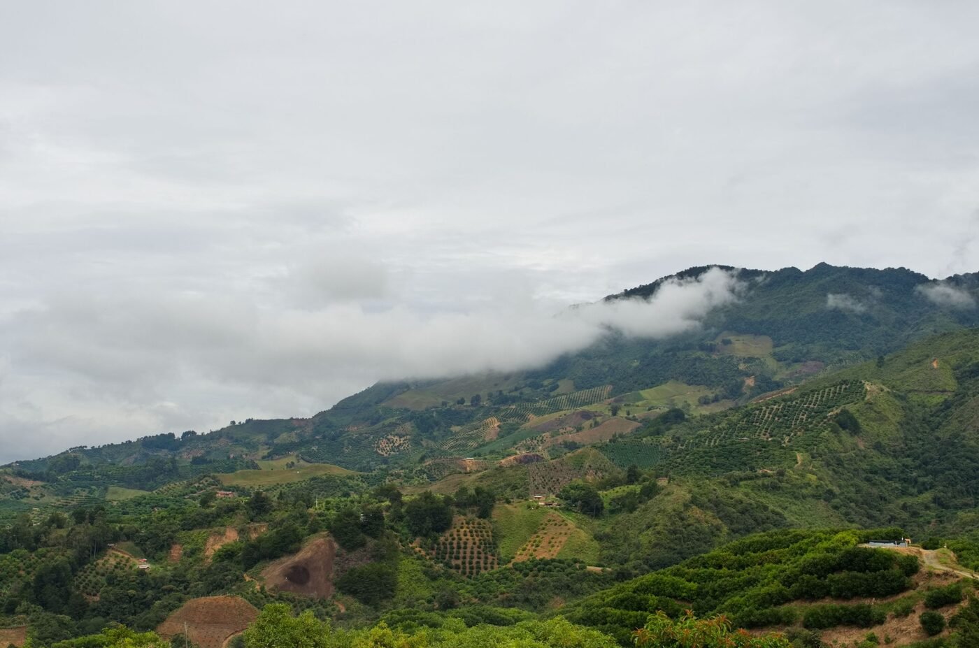 Lush green rolling hills under clouds in Sonsón, Antioquia, Colombia