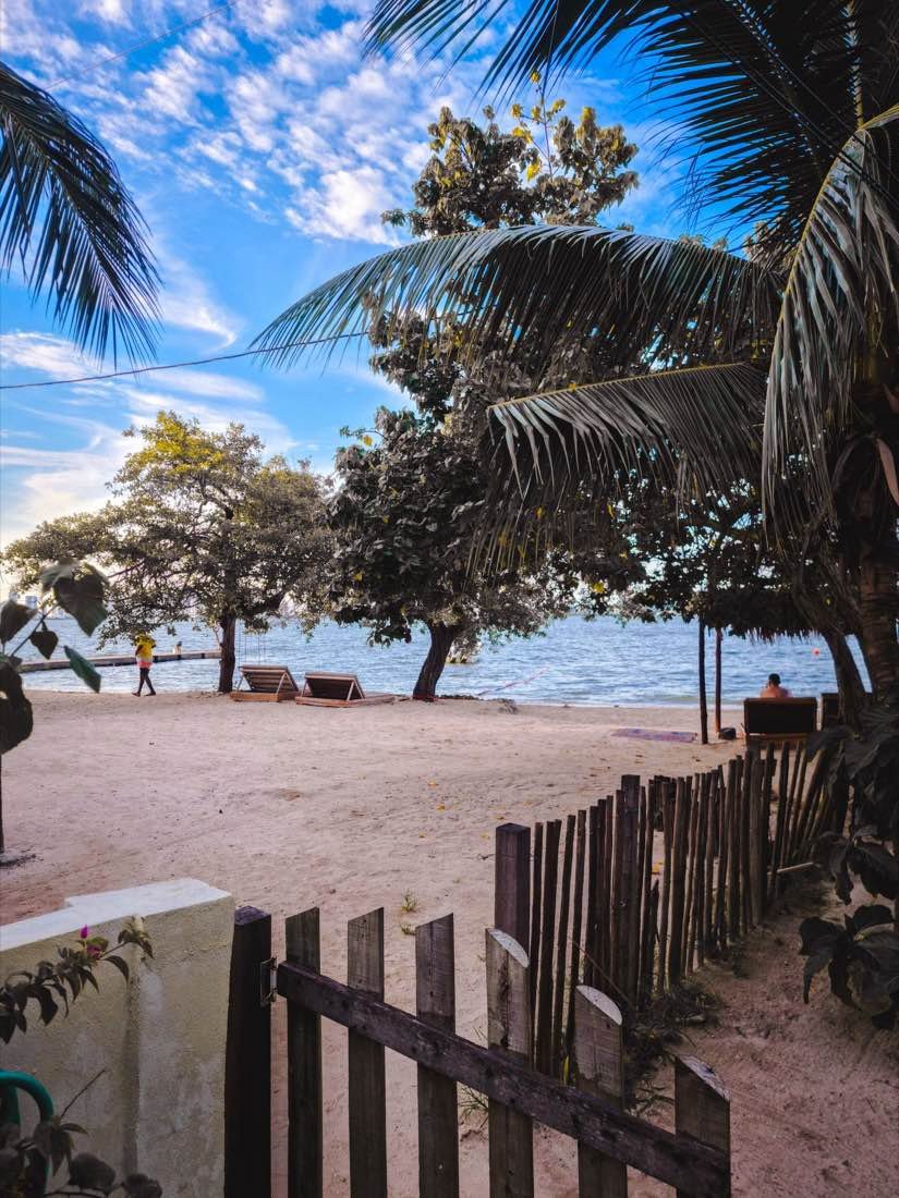 Palm trees and loungers on a calm beach on Cartagena bay under a blue December sky