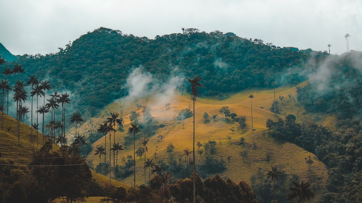 The city of Pereira with the green hills of the coffee region rising behind the urban centre