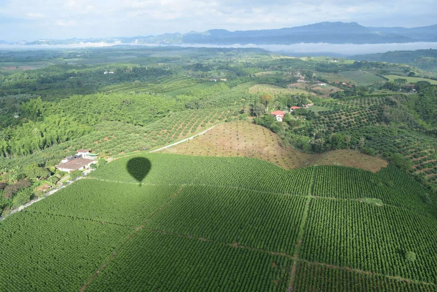 Aerial view of Quindío coffee plantations with hot air balloon shadow, Colombia