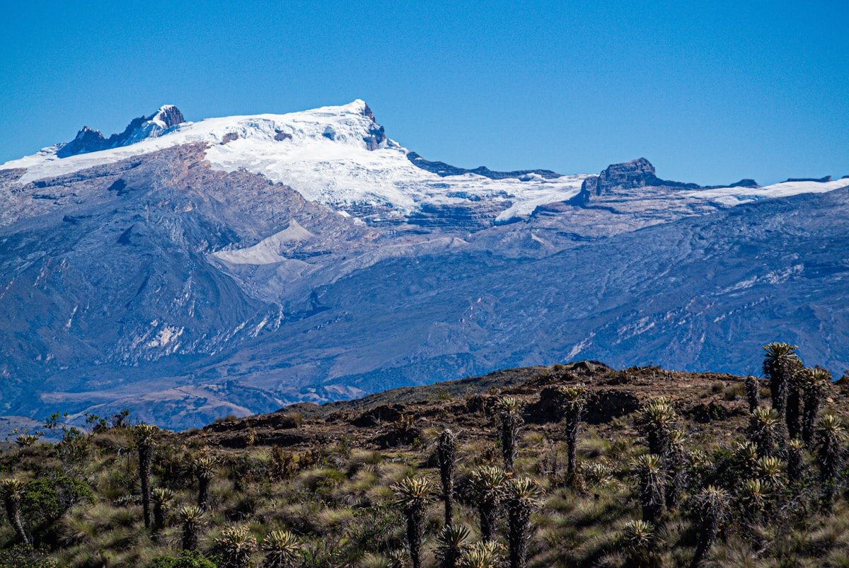 Snow-capped peaks of Sierra Nevada del Cocuy rising above a Colombian paramo landscape with frailejones