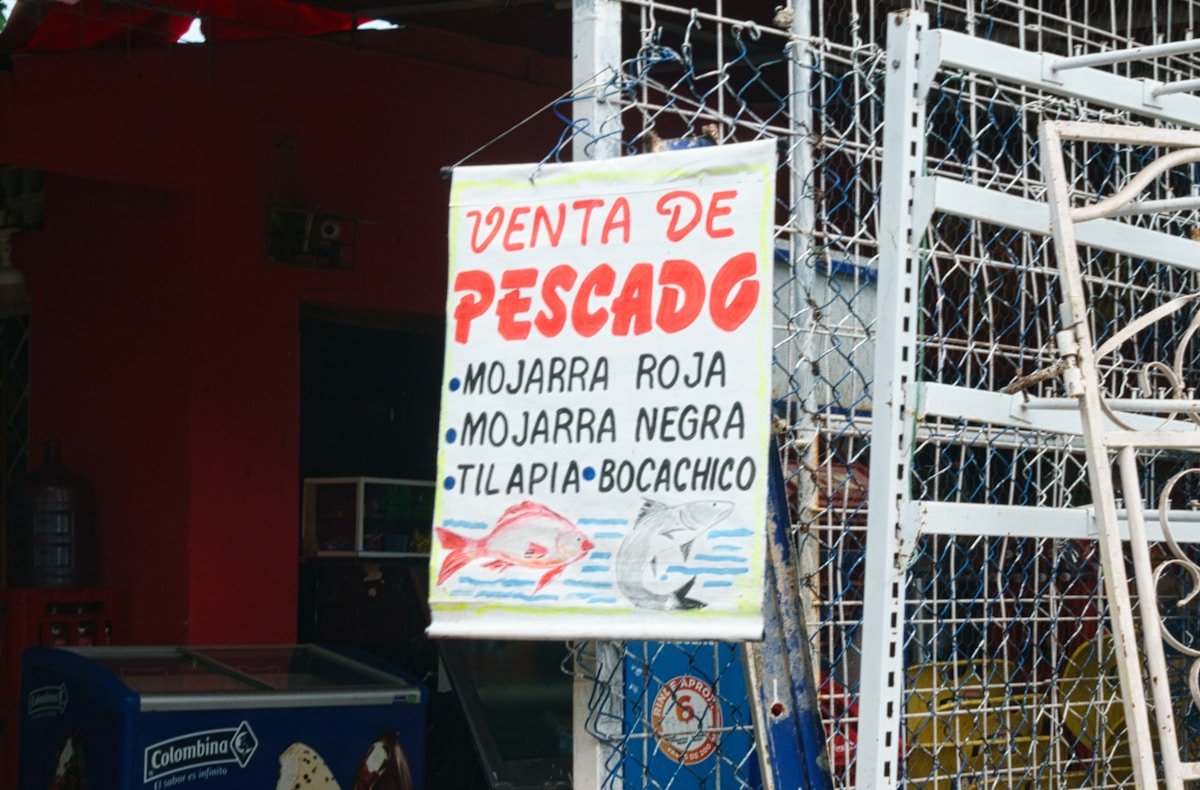A handpainted fish market sign in Cartagena offering fresh mojarra, tilapia, and bocachico — staple Caribbean Colombian fish