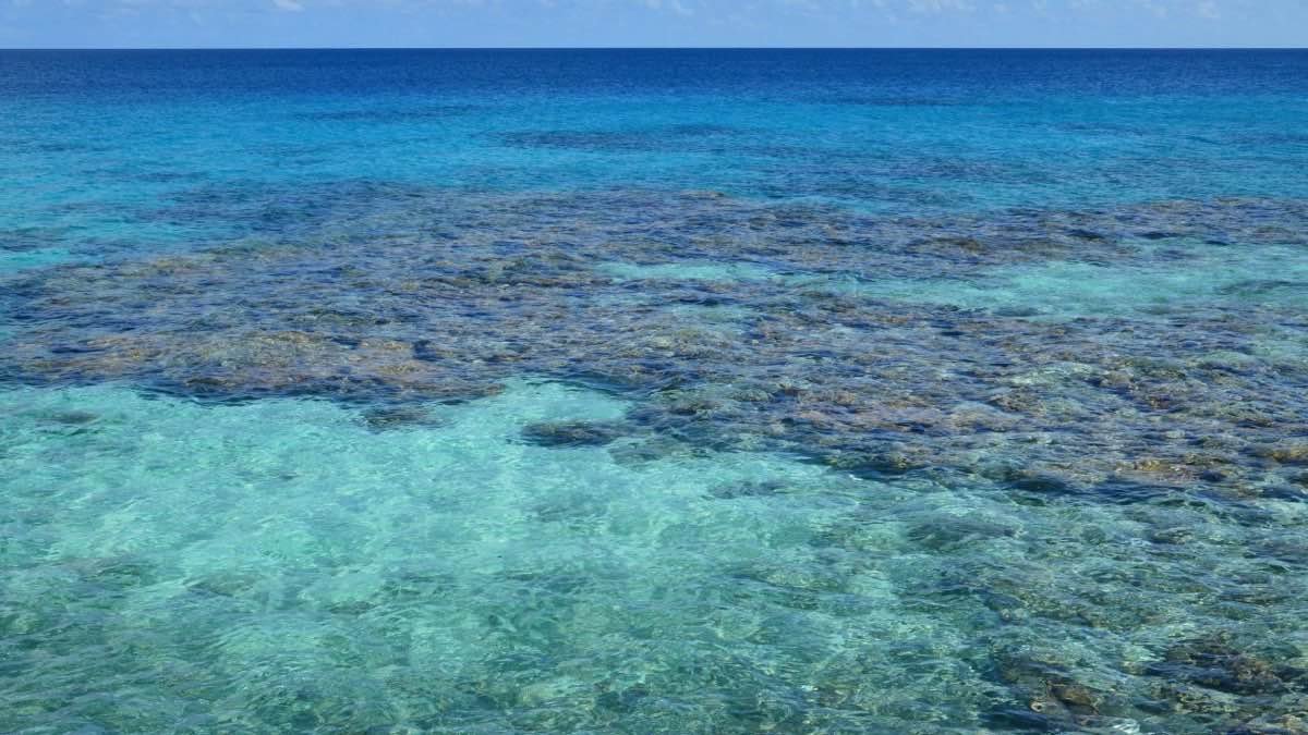 Shallow turquoise water over a coral reef in the Caribbean