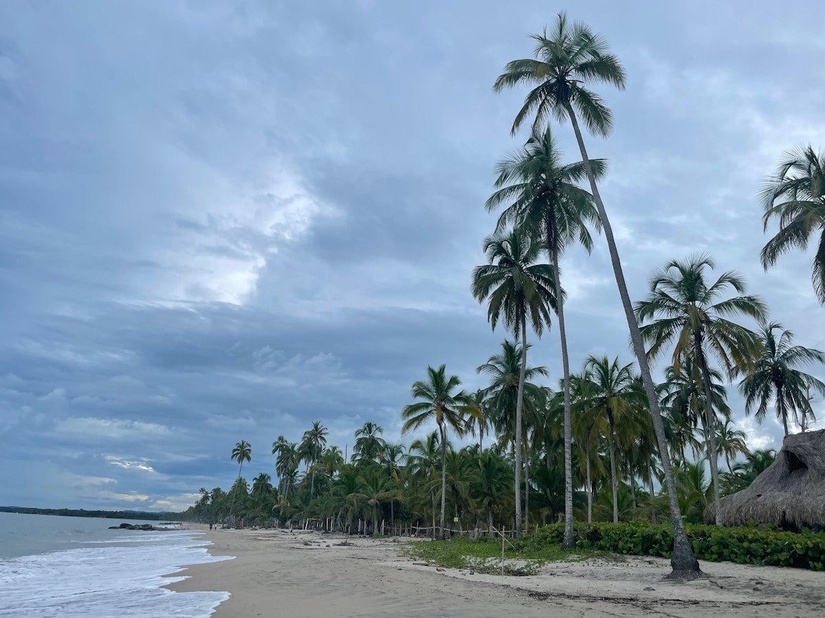 Palm tree-lined beach on the Colombian Caribbean coast near Rosario Islands