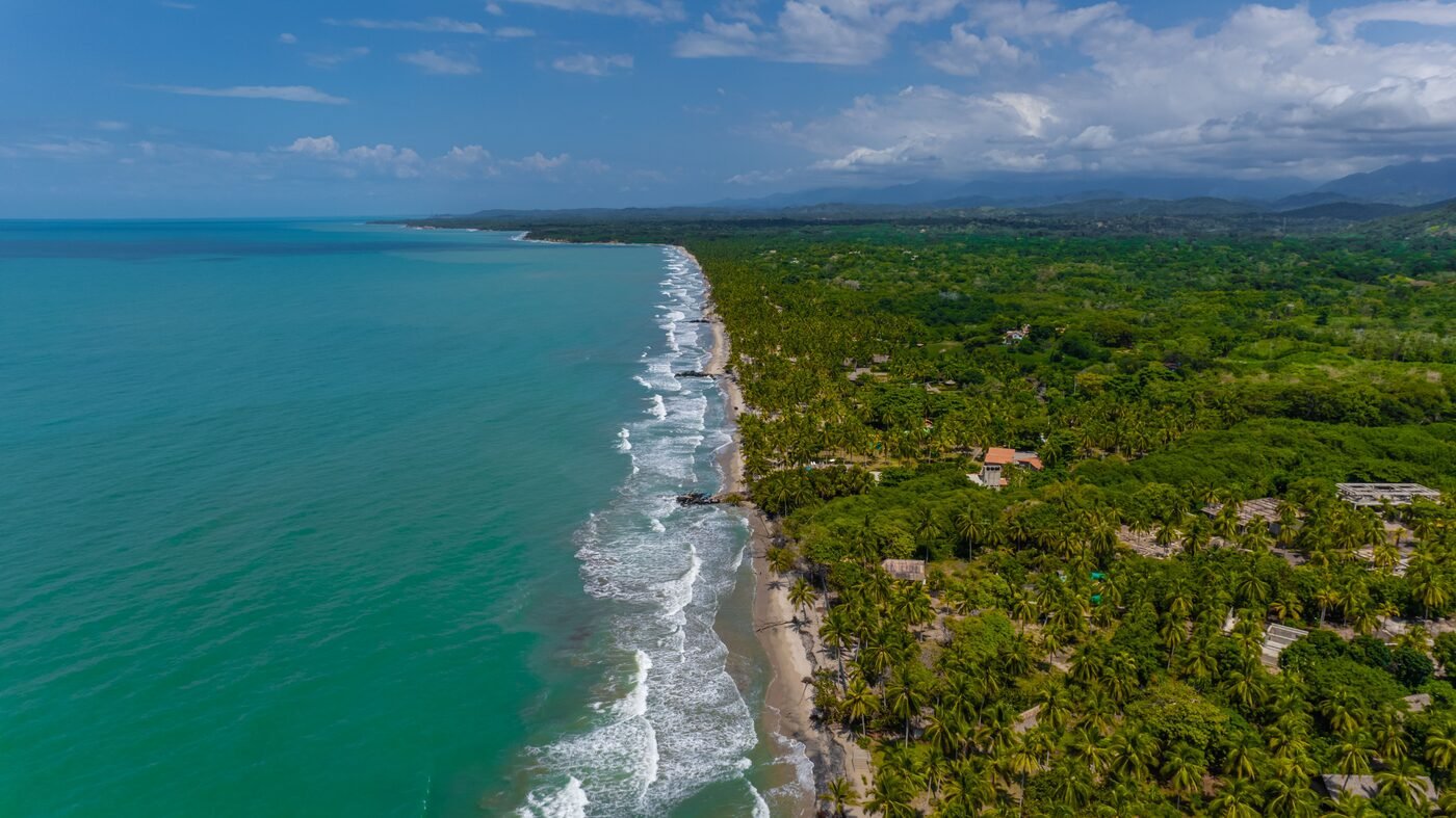 Aerial view of Palomino Beach with turquoise Caribbean water and lush green palm forest, Colombia
