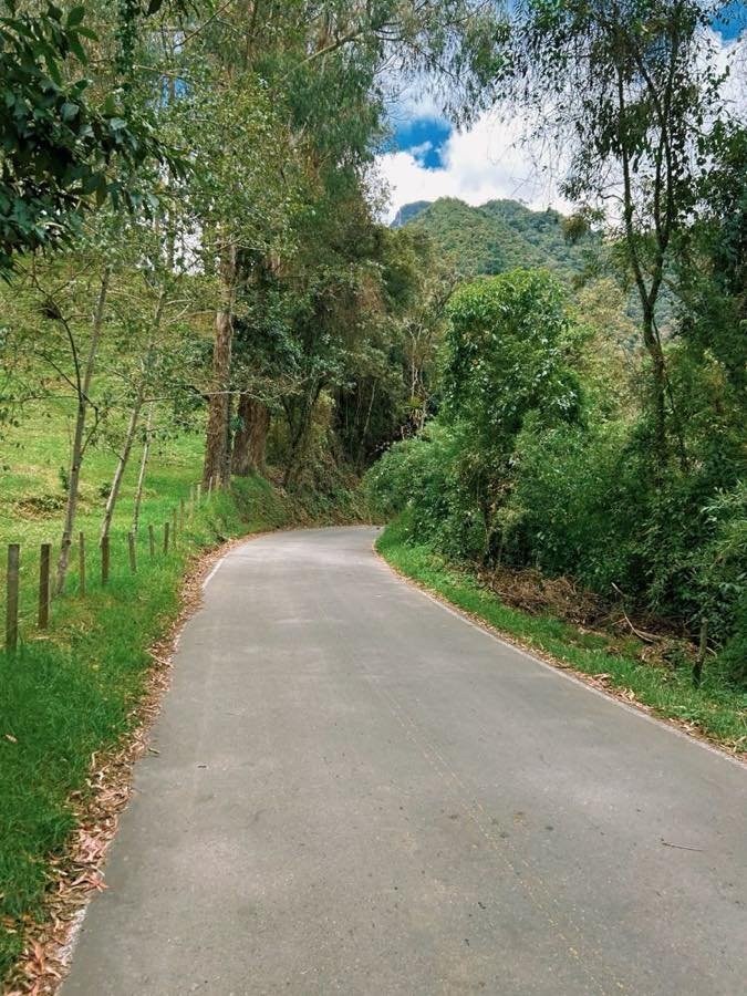 Winding paved road through green hills near Filandia in the Colombian coffee region