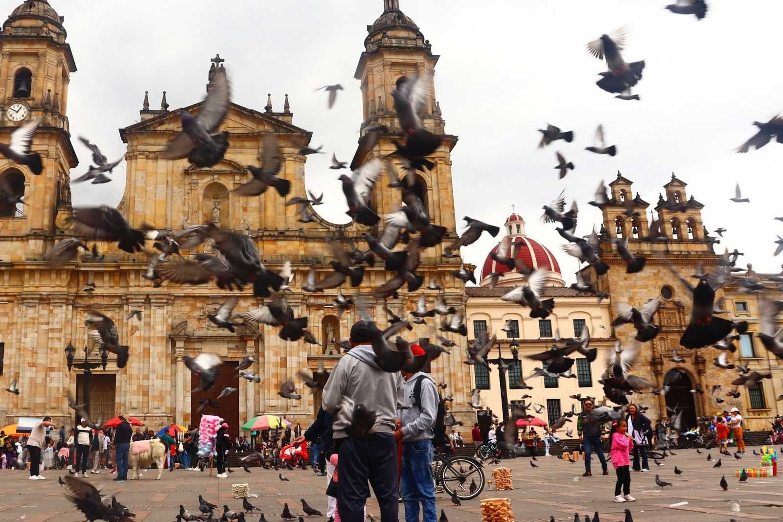 Crowds and pigeons in front of the cathedral on Plaza de Bolivar in Bogota, Colombia