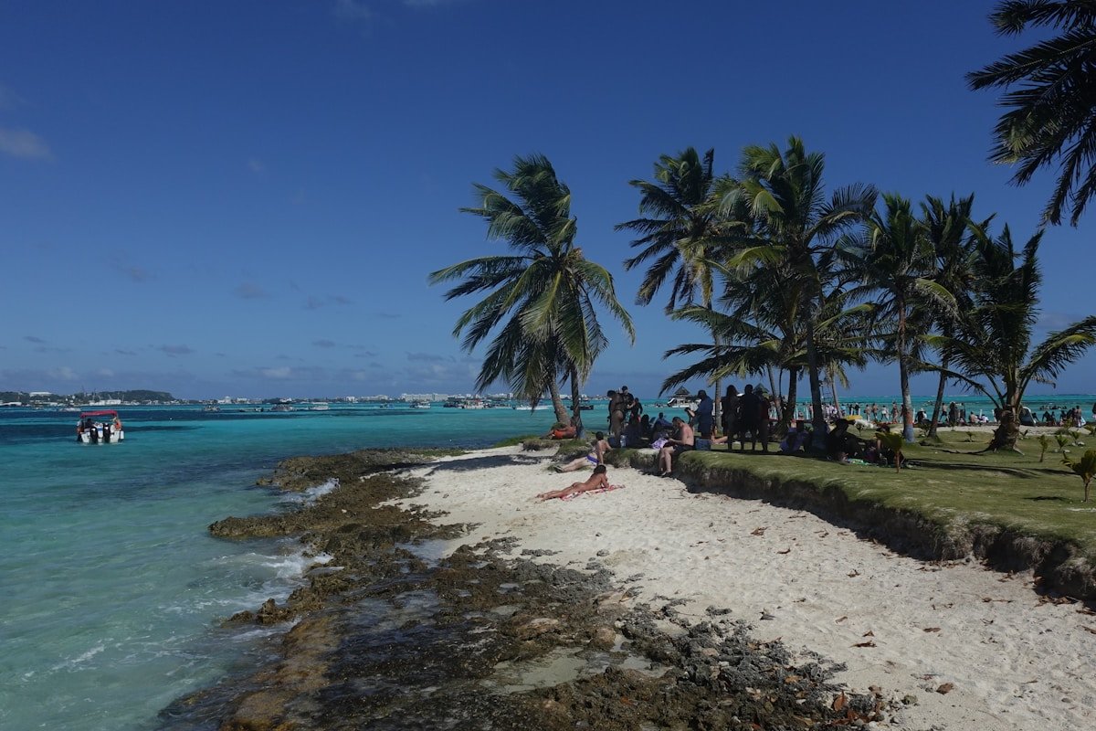 Sandy beach with palm trees and turquoise Caribbean water at San Andrés Island, Colombia