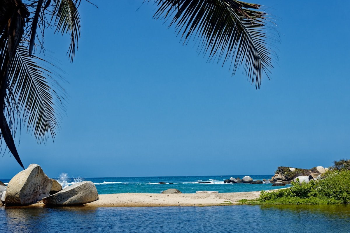 View of a beach with palm tree framing the turquoise Caribbean water at Tayrona National Park near Santa Marta